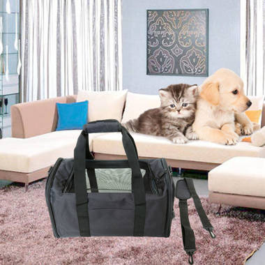 Pets at home clearance carrier